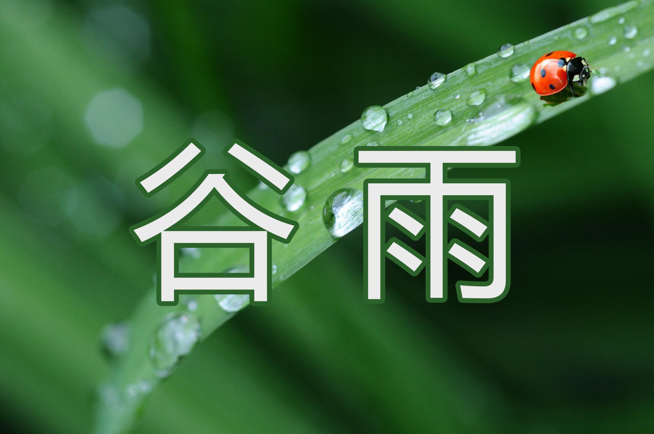 Grain Rain and Spring Fresh Time