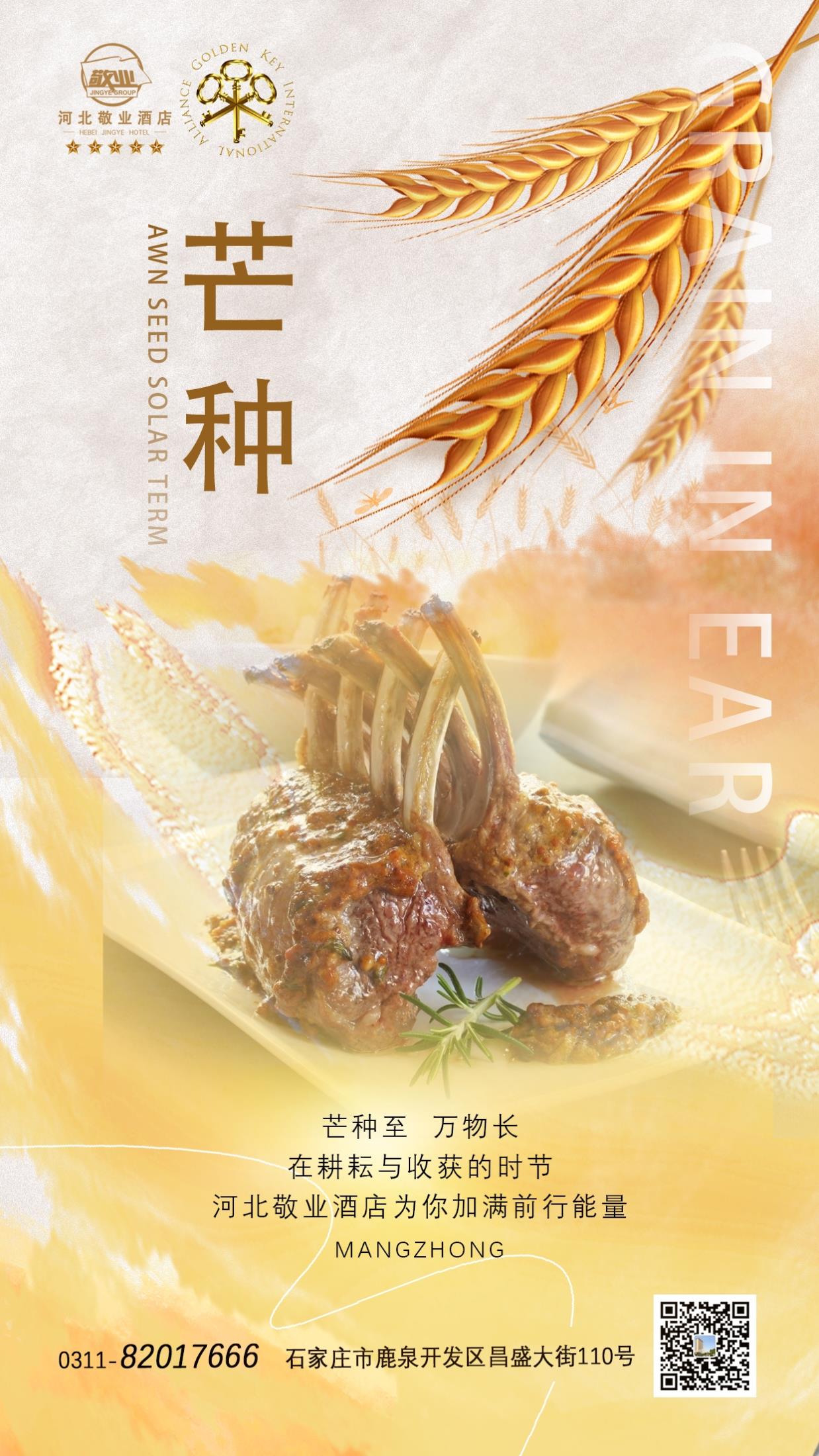 芒种 拷贝.jpg