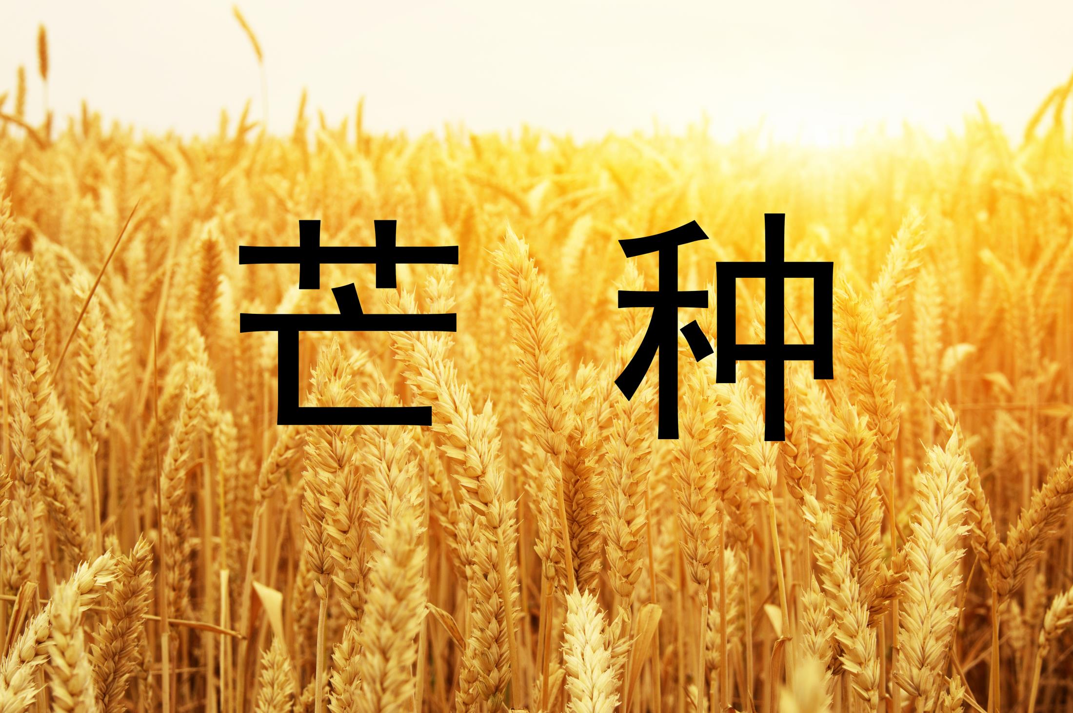 Hebei Jingye Hotel is full of energy for you to move forward